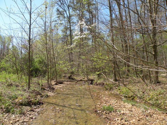 Lakeview Trail